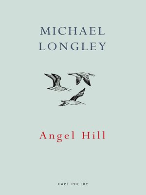 cover image of Angel Hill